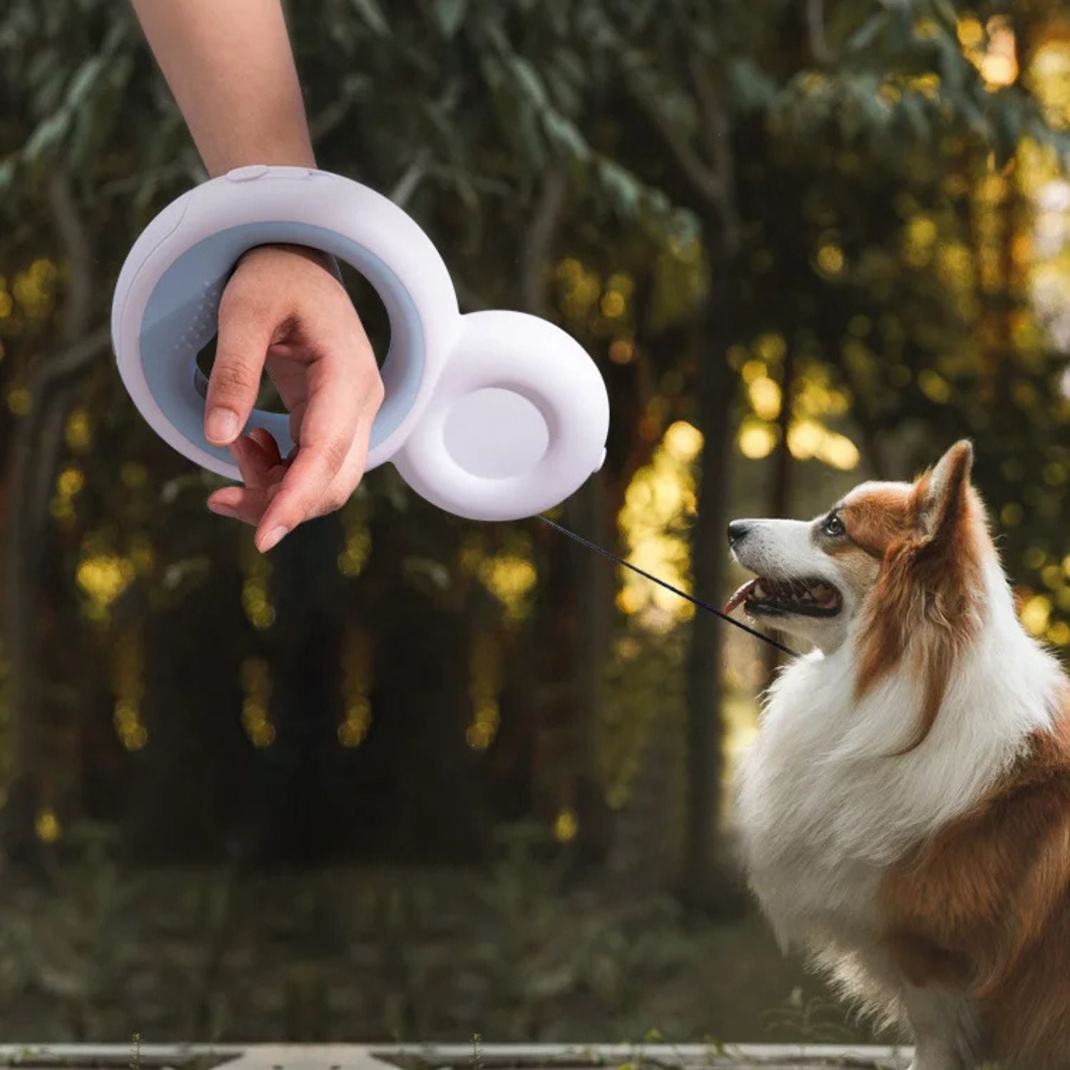 honden intrekbare touwlijn blauw afmetingen